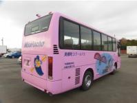 HINO LIESSE BUS 2010