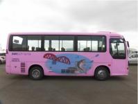 HINO LIESSE BUS 2010