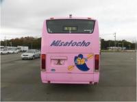 HINO LIESSE BUS 2010