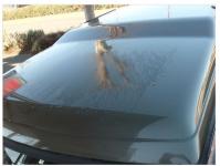 LAND ROVER DISCOVERY 1998