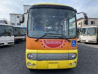 HINO PONCHO 2010