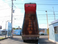 NISSAN BIG THUMB 1996