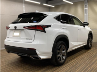 LEXUS LEXUS NX 2020