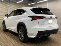 LEXUS LEXUS NX 2020