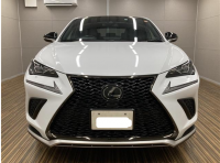 LEXUS LEXUS NX 2020