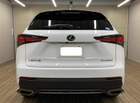 LEXUS LEXUS NX 2020