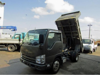 ISUZU ELF TRUCK 2011