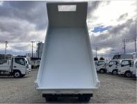 ISUZU ELF TRUCK 2019