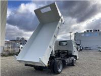 ISUZU ELF TRUCK 2019