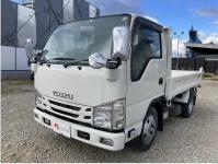 ISUZU ELF TRUCK 2019