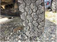 SUZUKI CARRY TRUCK 1996