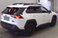 TOYOTA RAV4 2020