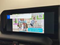 TOYOTA LAND CRUISER 250 2024