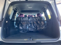 TOYOTA LAND CRUISER 2024