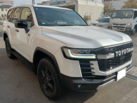 TOYOTA LAND CRUISER 2024