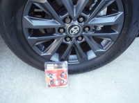 TOYOTA LAND CRUISER 2024