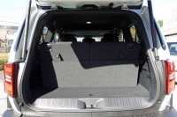 TOYOTA LAND CRUISER 2024