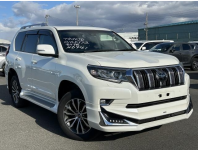 TOYOTA LAND CRUISER PRADO 2019