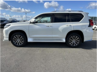 TOYOTA LAND CRUISER PRADO 2019
