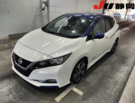 NISSAN LEAF 2018