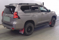 TOYOTA LAND CRUISER PRADO 2021