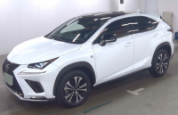 LEXUS NX 2020