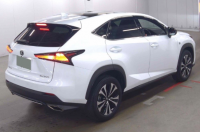 LEXUS NX 2020