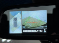 MITSUBISHI DELICA D:5 2021