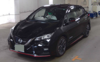 NISSAN LEAF 2019