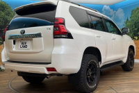 TOYOTA LAND CRUISER PRADO 2019
