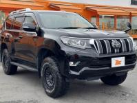 TOYOTA LAND CRUISER PRADO 2022